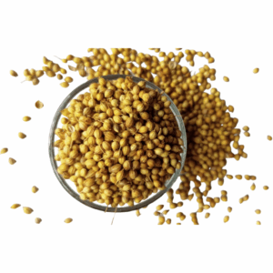 Coriander Whole
