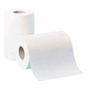 Toilet Roll - Pack of 10x4